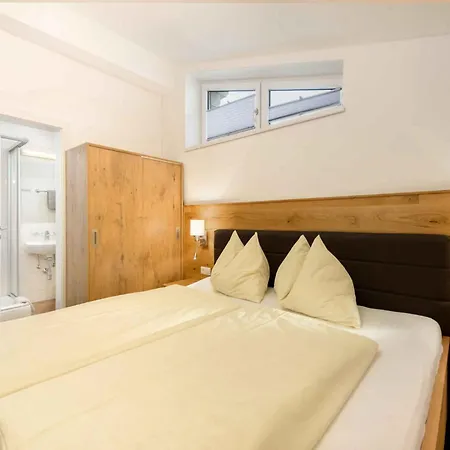 In Flachau/salzburger Land 316 フラッハウ